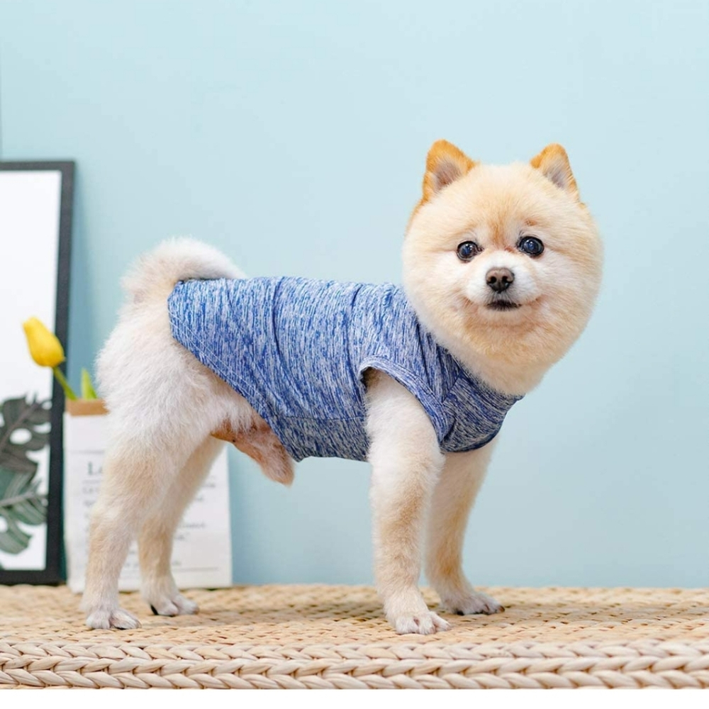 🌞 4 for $20 Dog Cooling Shirt 2 Packs - Quick Dry Soft Breathable Stretchy